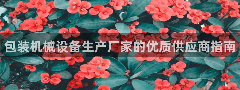九游会j92020