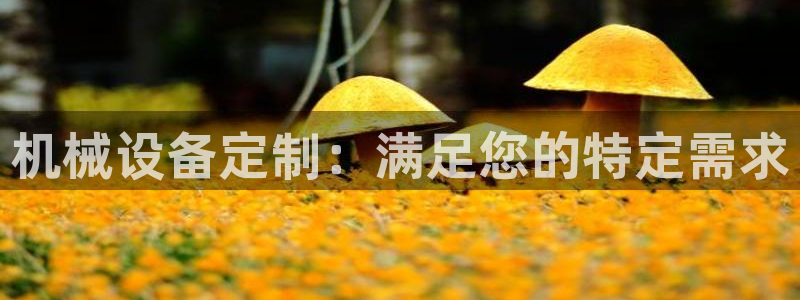 ag8九游