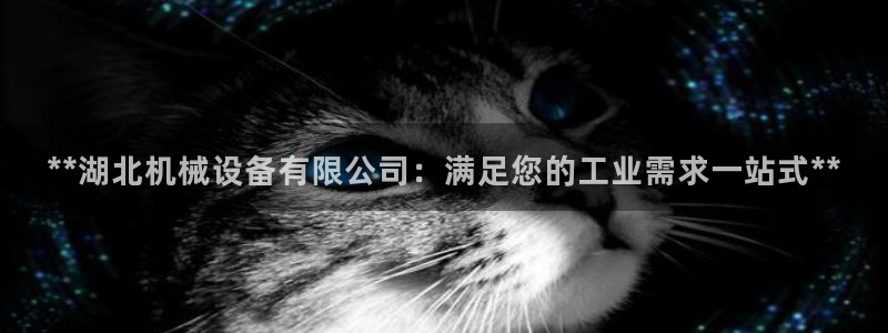 九游会官网入口ag亚洲