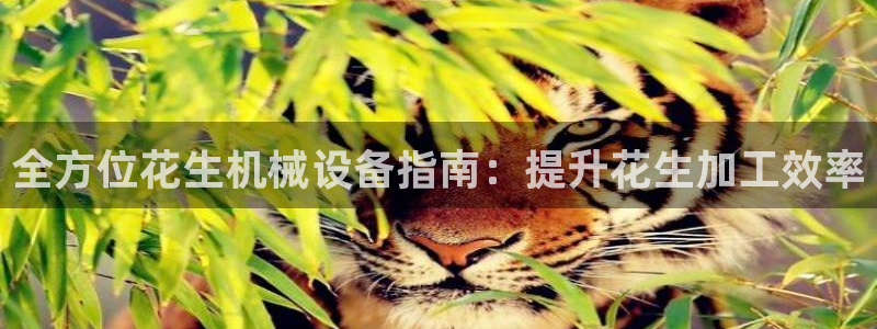 九游会平台