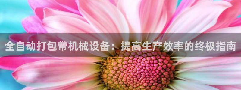 九游会游戏真人