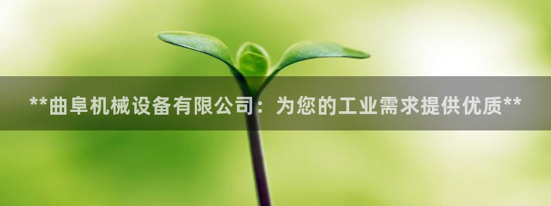 九游会国际站