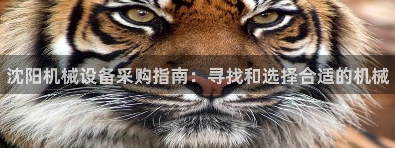 九游会官方网
