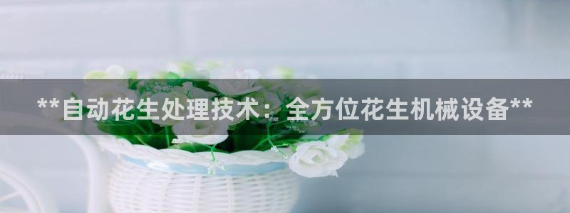 九游会j9官网