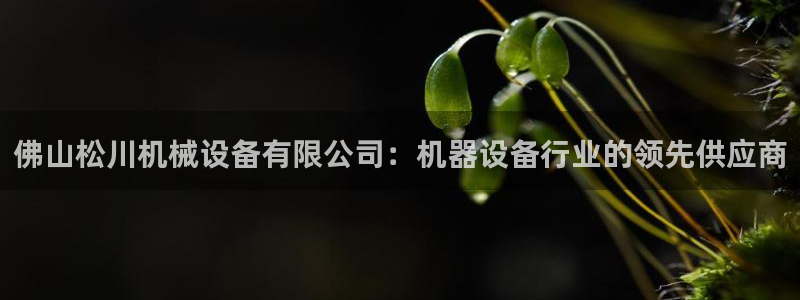 九游会国际站