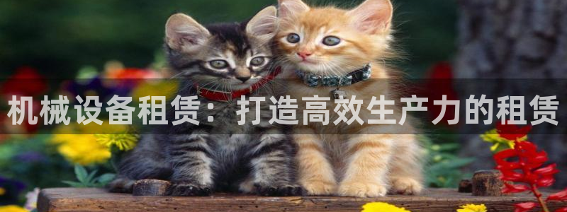 J9九游会网站
