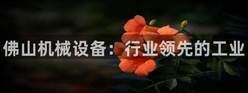J9九游会国际