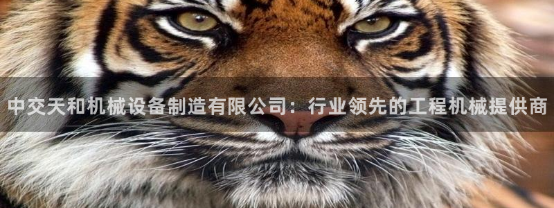九游会可靠吗