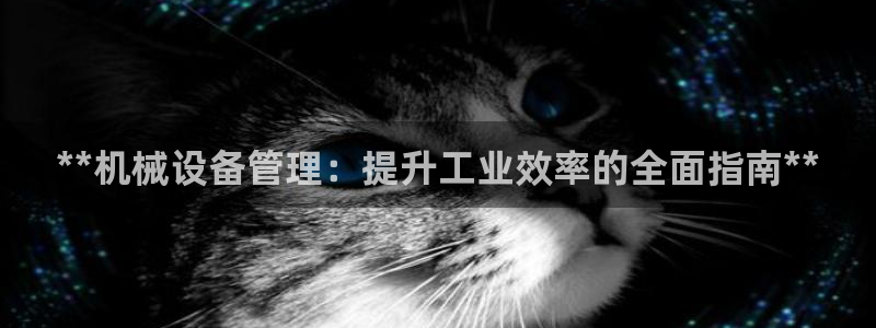 j9.com