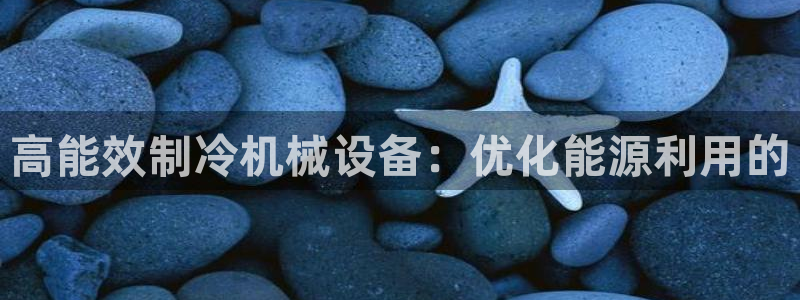 j9九游会网址