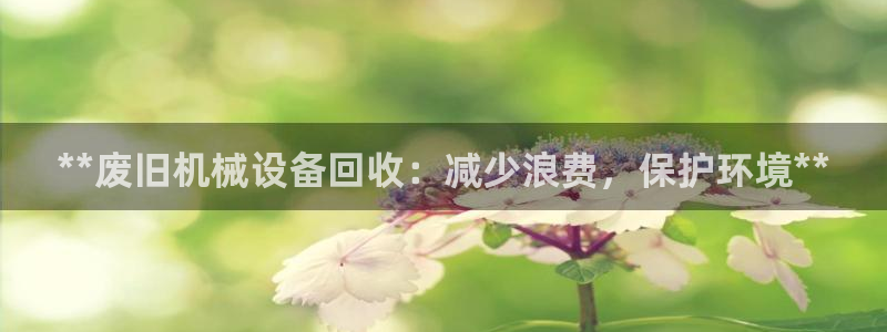 九游会亚洲