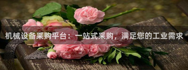 九游会视讯,九游会视讯官网