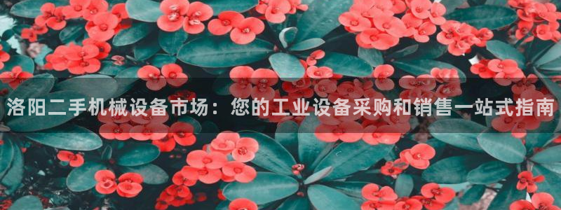 九游会官网登录中心