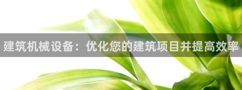 九游会j9登录官网
