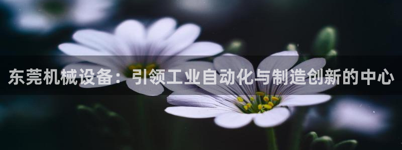 九游会ag官方平台