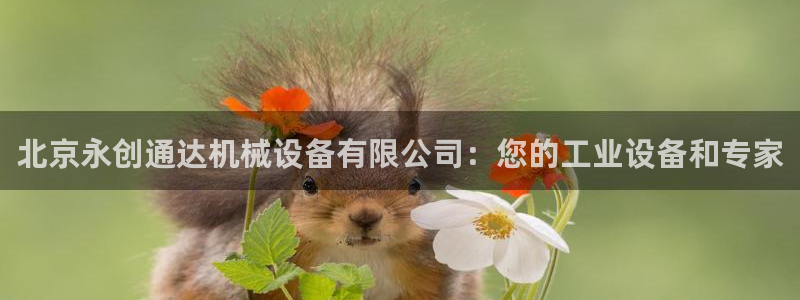 九游j9官网