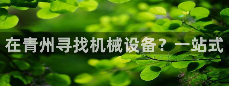 ag九游会下载