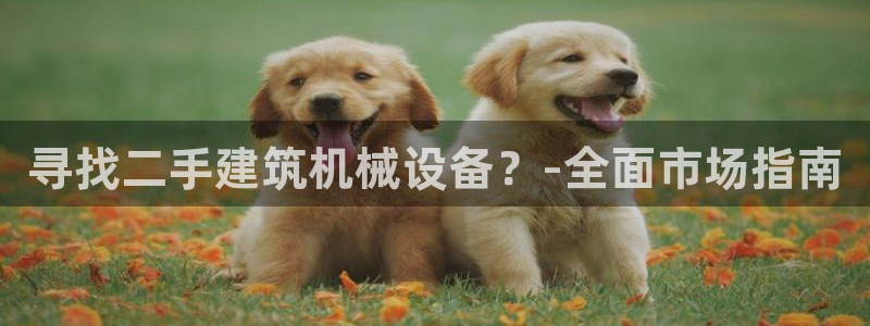 九游会线上平台下架吗