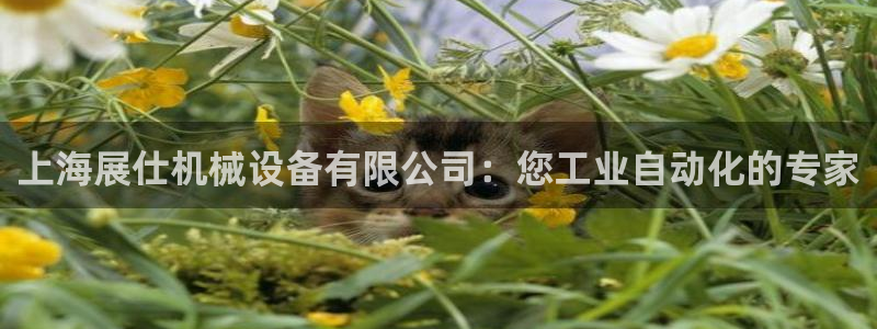 九游会倒闭