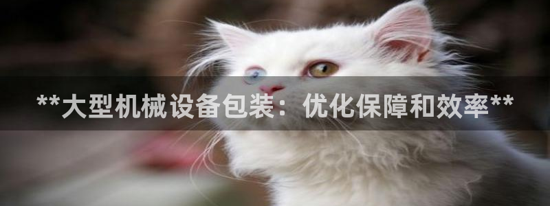 九游会集团正规吗