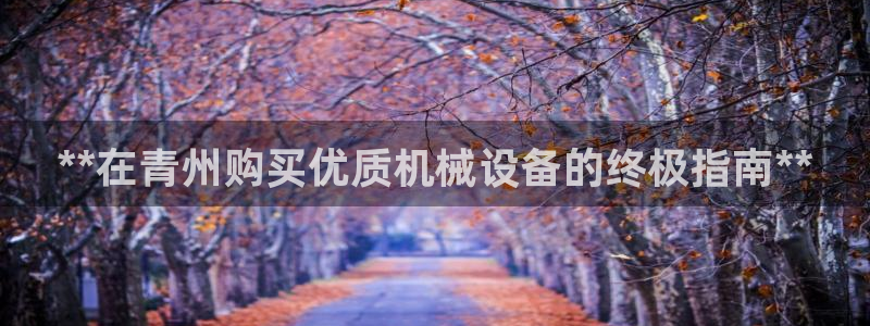 九游会提款快吗