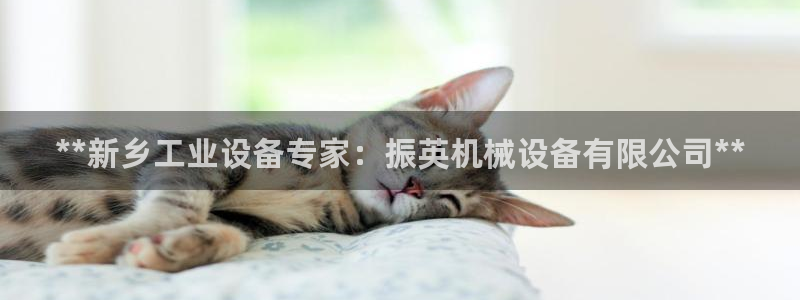 九游会老哥俱乐部官网