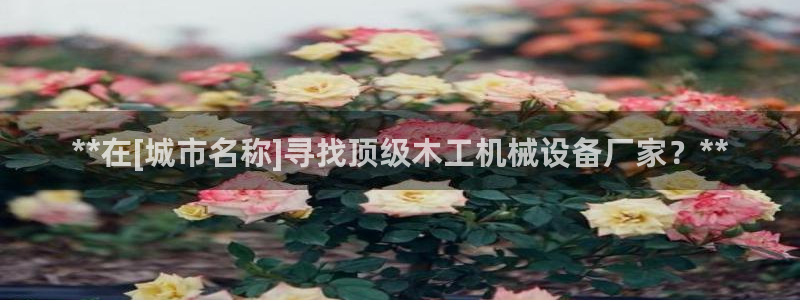 九游会官方在线