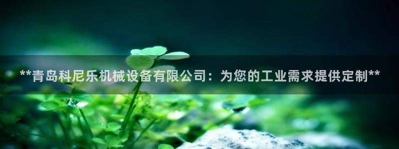 九游会app下载版官网正版安卓