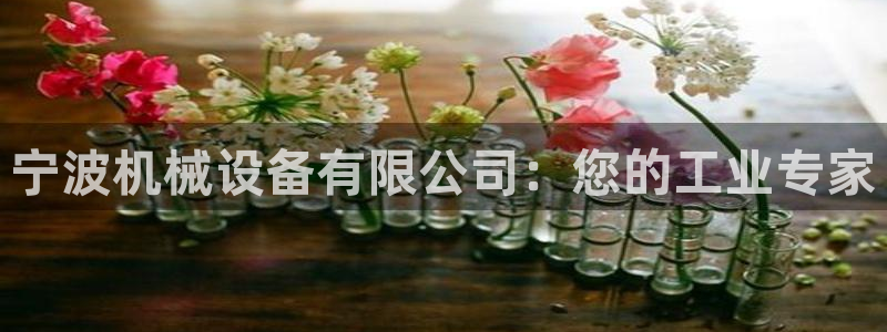 九游会直营
