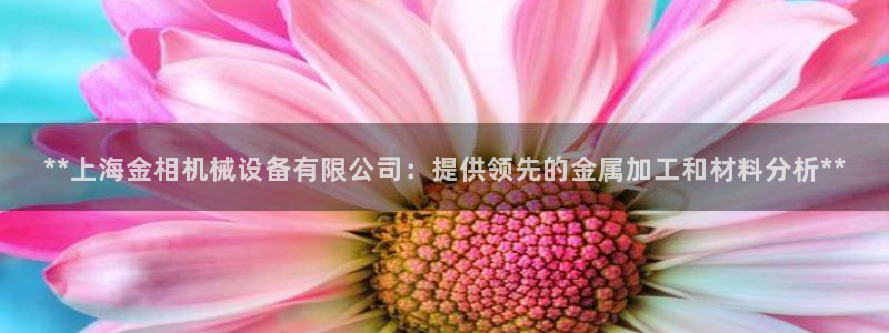 j9九游会vip