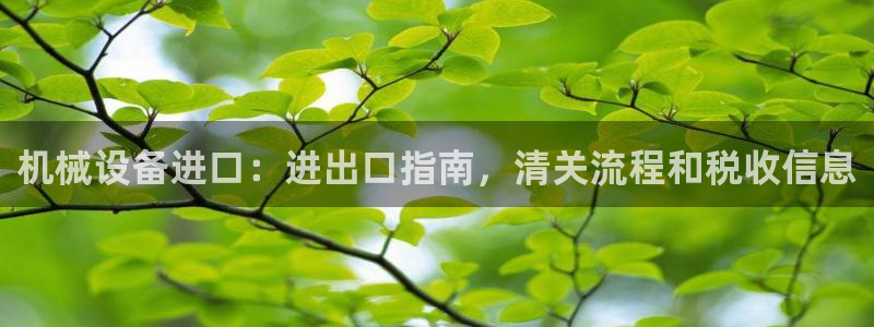 九游会AG在线平台