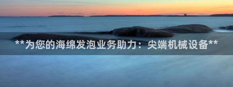 9游会app