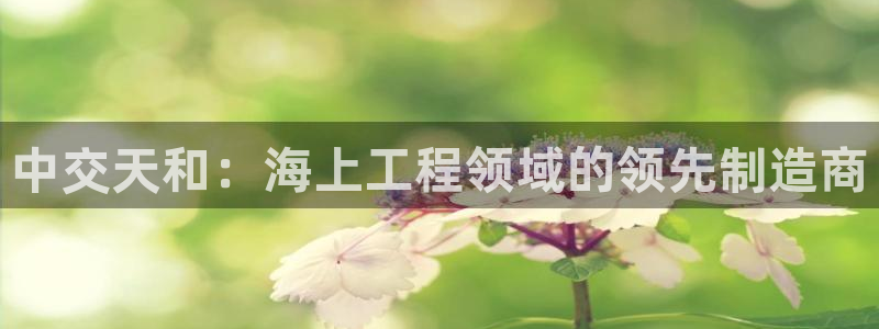 九游会第一真人视频游戏
