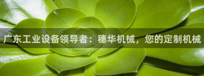 j9九游会平台