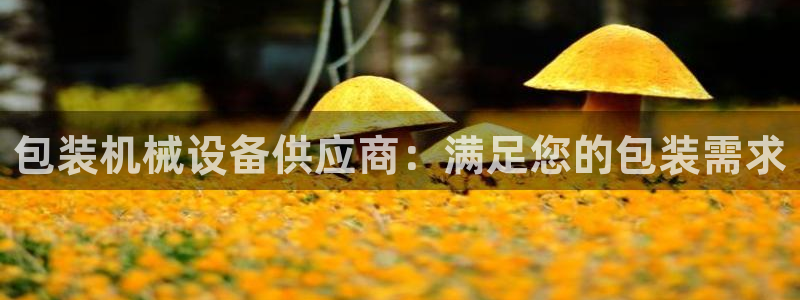 九游会大家觉得怎么样