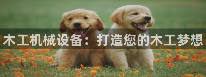 九游会怎么了