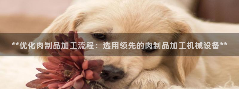九游会黑吗