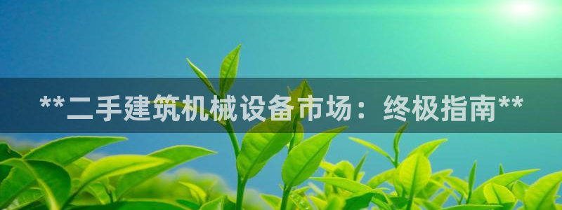 j9九游会官网入口