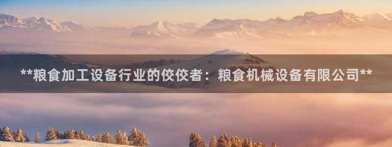 九游会ag私享