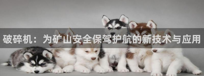 九游会平台登入