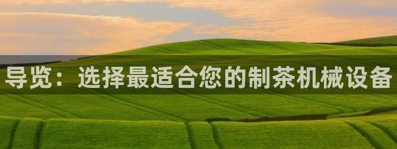 九游会怎么提款