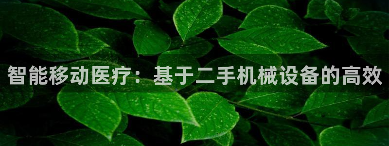 九游会vip