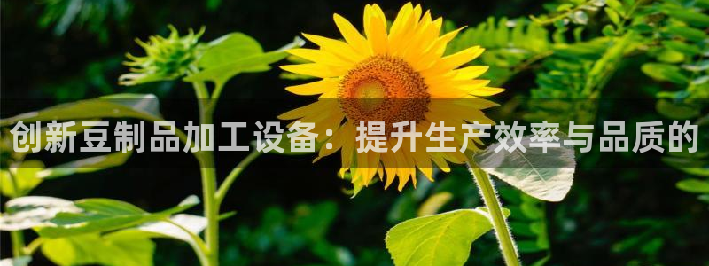 九游会官网首页进入吗