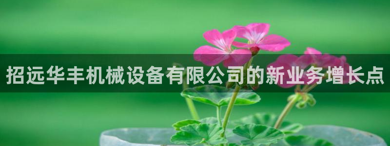 ag8九游会