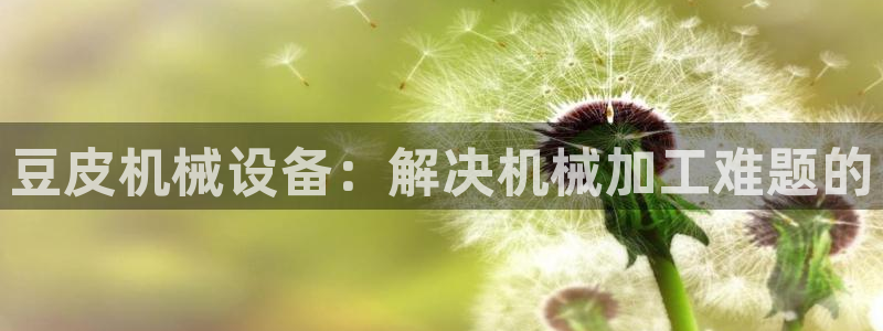 j9九游会官方网站国际怎么样