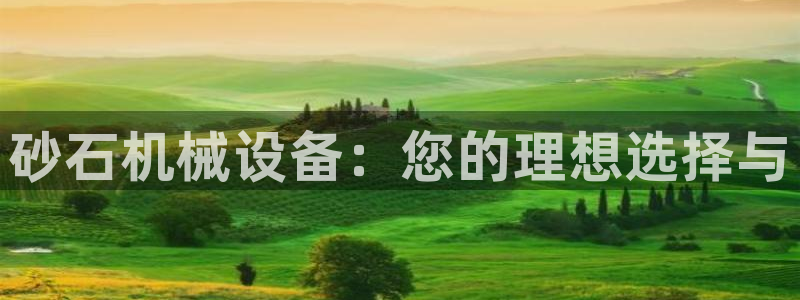 九游会怎么了：砂石机