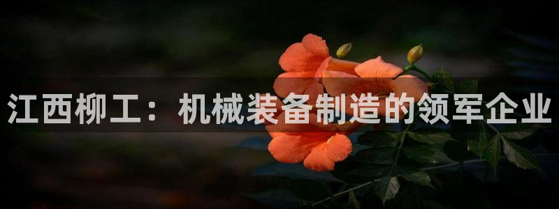 ag九游会下载