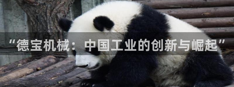 九游会官网在线登录入