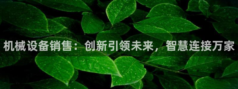 j9九游会黑网