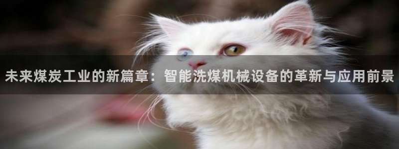 九游会中国j9：未来
